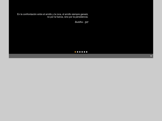 Citas/CITAS screenshot