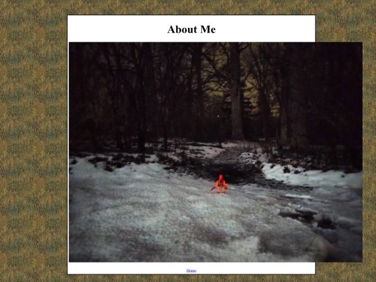 aboutme screenshot