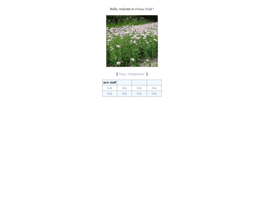 pages/home screenshot