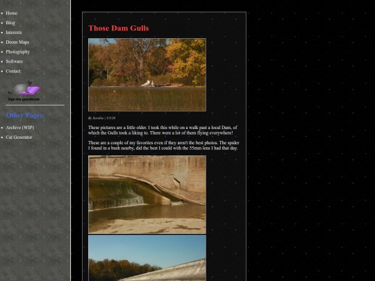 photoPages/damGulls screenshot