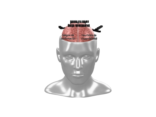 models3d/sesgos screenshot