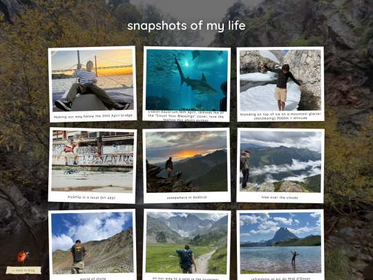 gallery screenshot