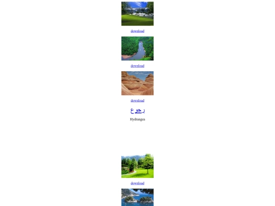 pic2 screenshot