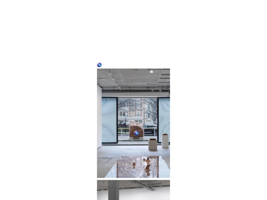 DPPII/exhibition screenshot