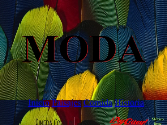 Actividades/moda screenshot