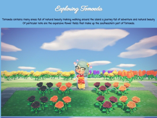 tomoeda/exploration screenshot