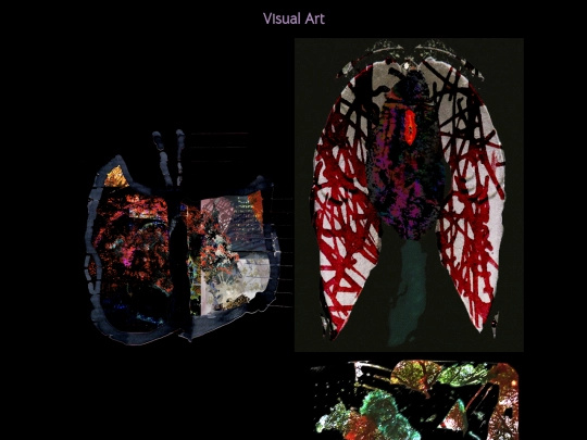 visualart/visual screenshot