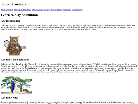 badminton screenshot