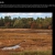 Weskeag Marsh avatar