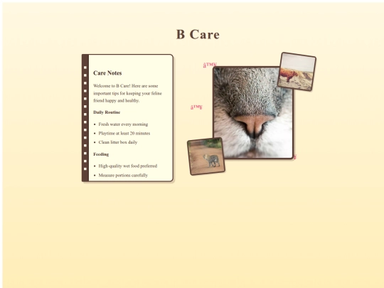 bcare screenshot