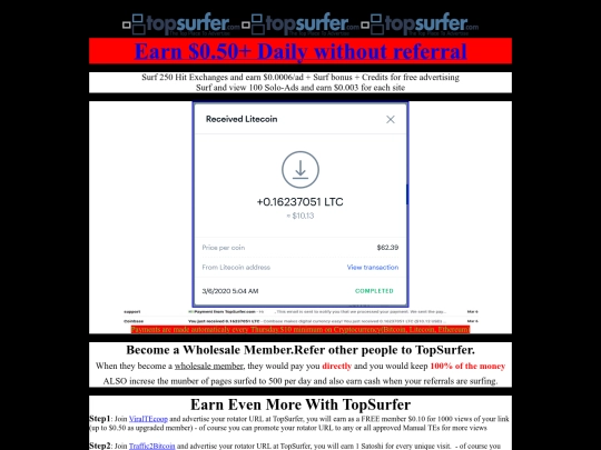 TopSurfer screenshot