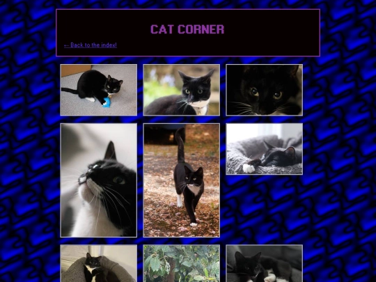 gallery/cat-corner screenshot