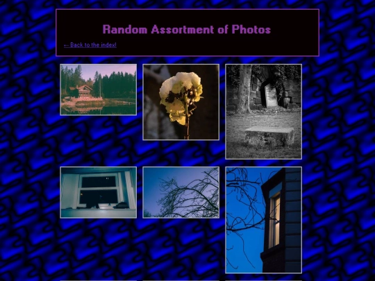 gallery/random-assortment-of-photos screenshot