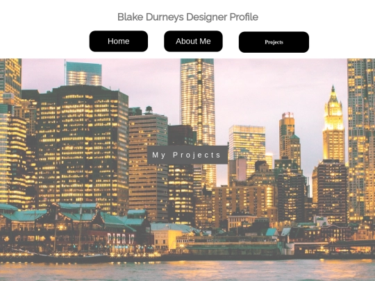 projects screenshot