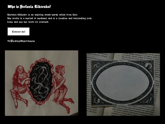 portfolio screenshot