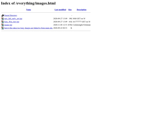 everything/images screenshot