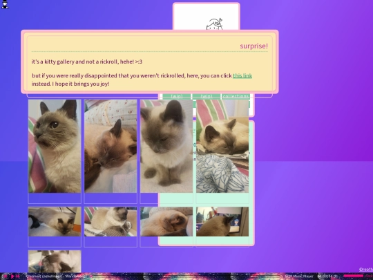 kittytime screenshot