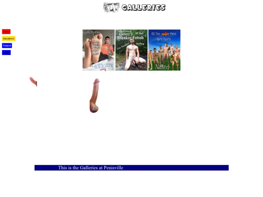 protectedpages/htmlfiles/galleries screenshot