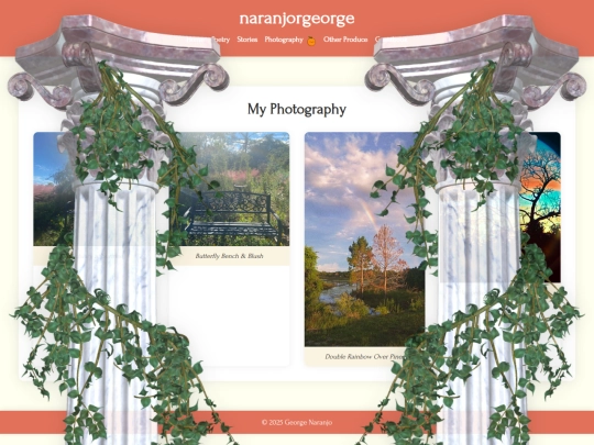 photography screenshot