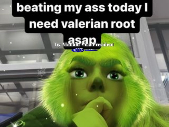 x/madamvicepresident screenshot