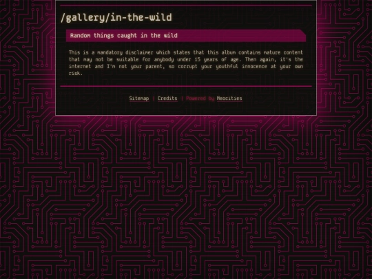 gallery/in-the-wild screenshot