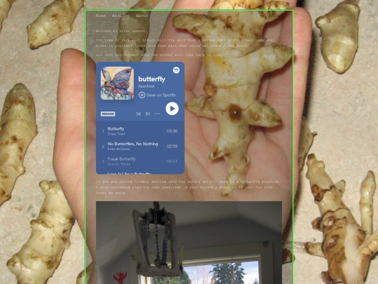 posts/2021-03-25-butterfly screenshot