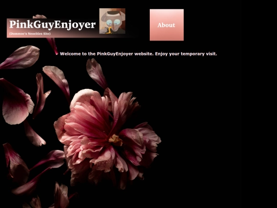 home screenshot