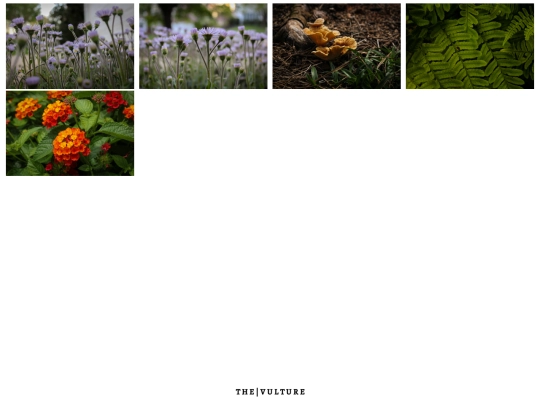 c20-21 screenshot