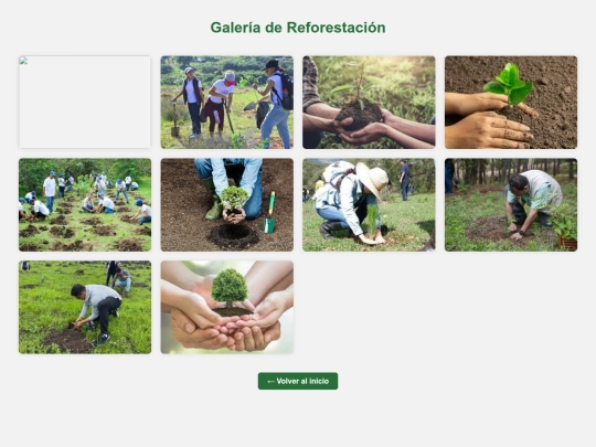 galeria screenshot