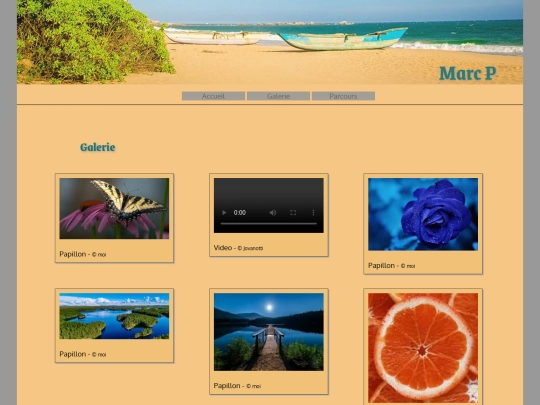 VIDEO/page1 screenshot