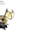 The web site of parzivus avatar
