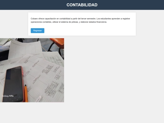 Prueba html/Contabilidad screenshot