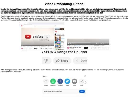 video screenshot