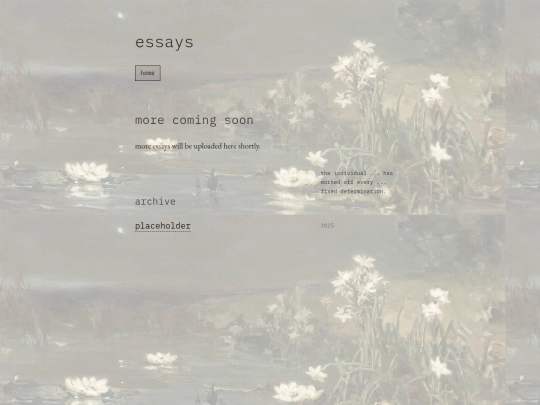 essays screenshot