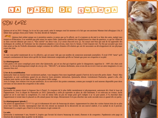 src/view/quinouche screenshot