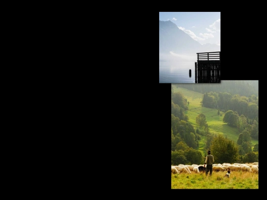 webcollage screenshot