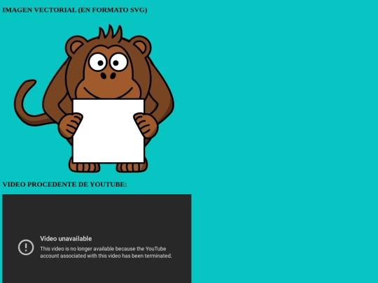 MODULO 2 TEMA 3 OPCIONAL screenshot
