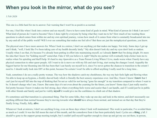 doc/self-reflection/Look_In_Mirror screenshot