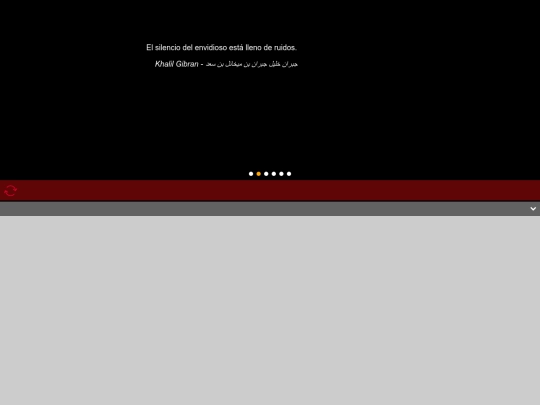 citas_localStorage screenshot