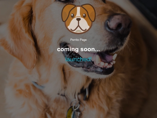 coming-soon screenshot