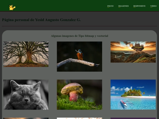 página web personal simulada/pagina-personal screenshot
