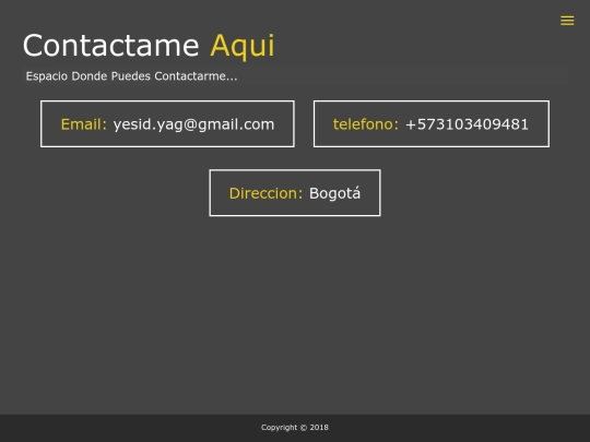 portfolio/contacto screenshot