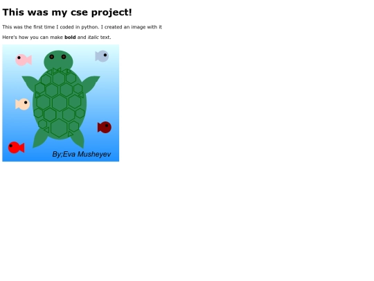 cse.project screenshot