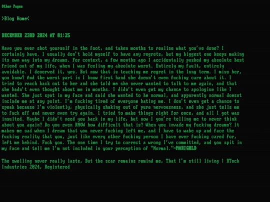 blog/DEC23RD screenshot