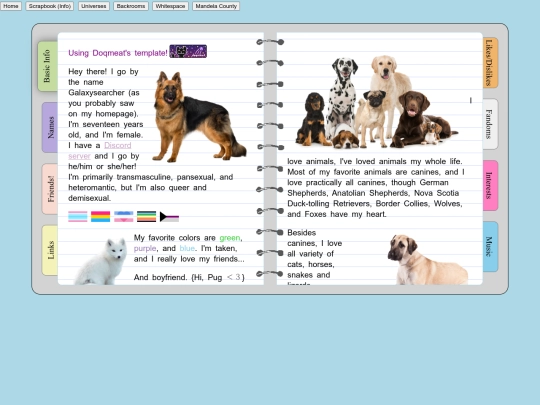 infoscrapbook screenshot