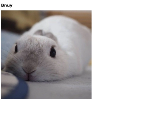rabbit screenshot