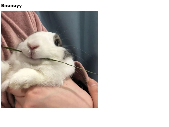 test/morerabbit screenshot