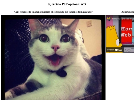 modulo-2-Ejercicio-P2P-opcional-3 screenshot