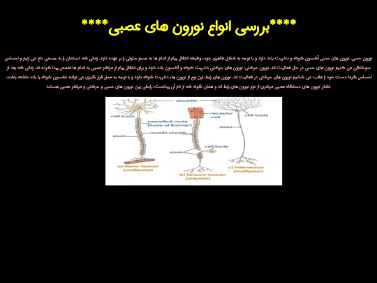 3 screenshot