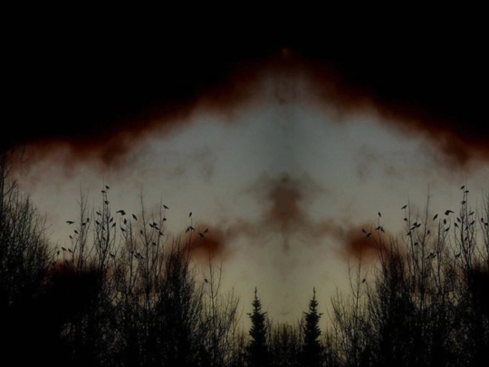 test screenshot